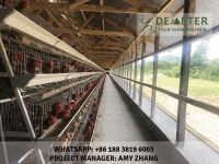 Affordable Chicken Cages In Kenya, Layer Chicken Cage