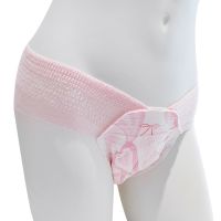 Bikini Menstrual Pants Period Sanitary Napkins High Quality From China