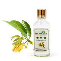 Factory New Design Ylang Ylang Essential Oil with best Price
