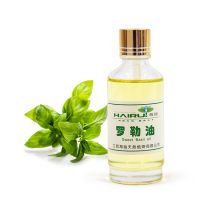 Fragrance essential oil Wholesaler for Fresh Basil/Sweet Basil/Holy Basil Essential Oil