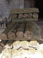 sell bamboo poles for agriculture