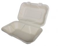 8inch Square Plate Disposable Bagasse Tableware