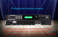 Professional karaoke processor TM303