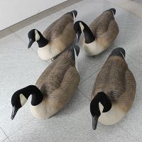 We sell hunting decoys
