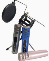Entry level microphone, mobile microphone, portable microphone