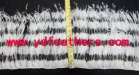 Stripe Burnt Ostrich Feather Fringe/Trim Sewn On String