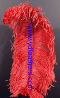 Sell Ostrich Feather/Plume from China