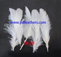 Hen /Fowl Feather Rooster/Coque Feather For Wholesale for Wholesale