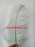 Sell Burnt Ostrich Feather/Plume Dyed Green from China
