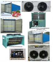 high quality Cold Room/Freezing Room for your vegetable/fruits storage