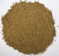 Supply high quality fish meal