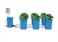 Friendly and Green Modular Hydroponic Bucket System for Home and Commercial Growth