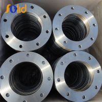 China Suppliers DIN2576 PN10 Stainless Steel A182 F316 FF Forged Plate Flange