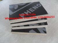 Sell film faced plywood for construction