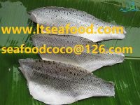 Sell seabass fish , tilapia fish