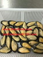 Sell boild blue mussel meat