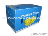 Sell Water Proof Corrugated Plastic Sheet Packing Box