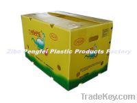 Sell Recyclable Twin Wall Plastic PP Sheet Packing Box