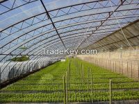 Sell Greenhouse film, agricultural film