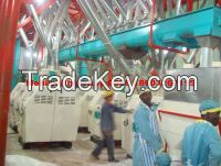 Low price making machine wheat flour plant wheat grinding mill