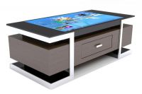Xinyan Interactive Touch Screen Table 43"