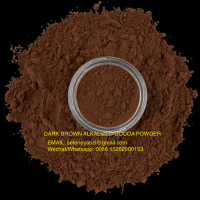 Alkalized Cocoa Powder (Cacao Polvo) 10/12 For Pakistan, Afghan Market