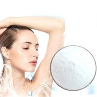 Skin Care Anti-Wrinkle Cross-Linked Sodium Hyaluronate Acid Ha Powder