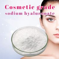 Hyaluronic Acid Sodium Hyaluronate Ha Powder Raw Material Cosmetic