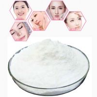 Food Grade Hyaluronic Acid /Sodium Hyaluronate/Ha Powder Cosmetic