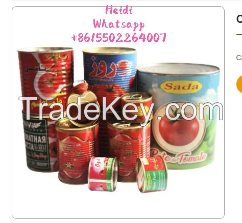 easy open 28-30% brix canned tomato paste 800g