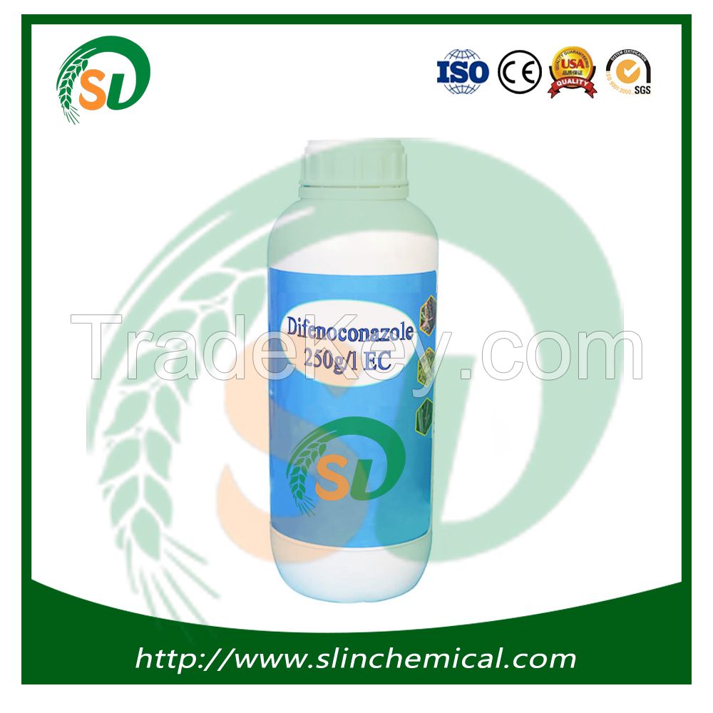 Excellent Quality Agrochemical Difenoconazole Fungicide 95%TC 10%WP 10%WDG 25ï¿½ 30%SC With Best Price