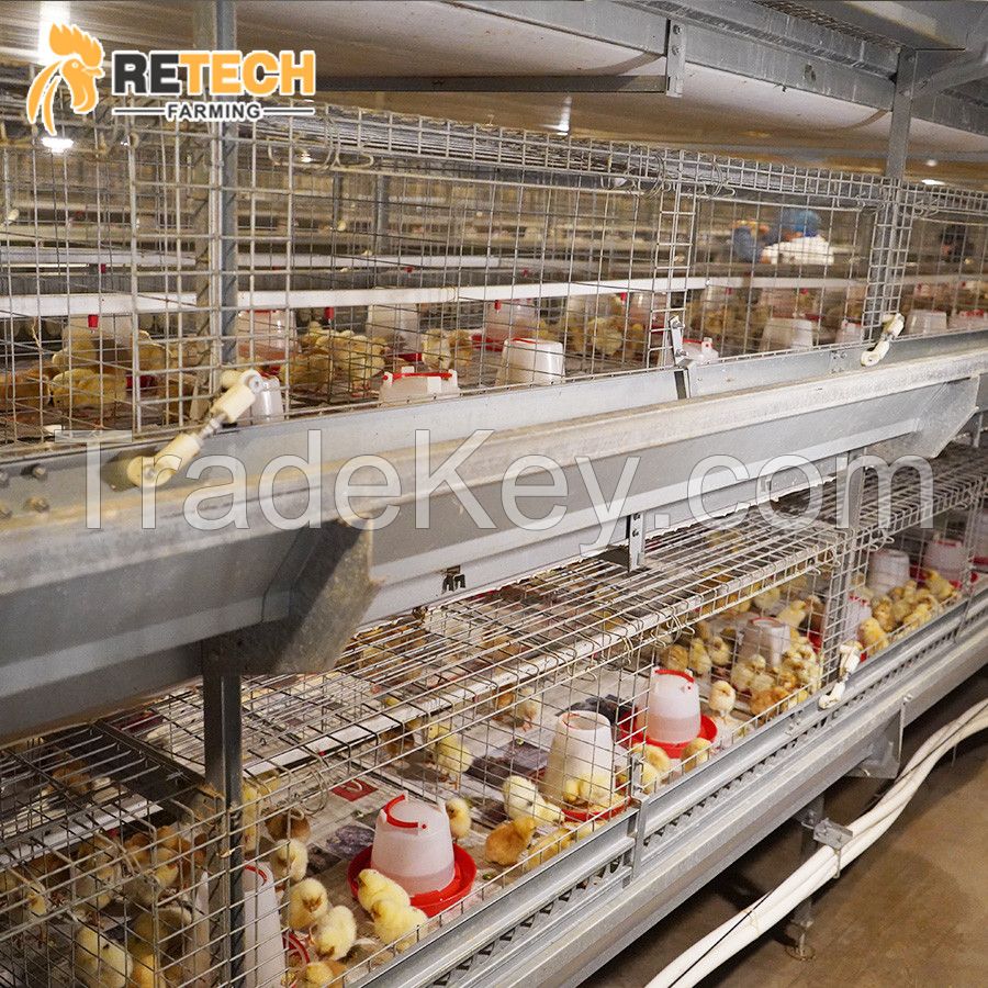 RETECH Factory Direct Supply H Type Full Automatic rearing equipment