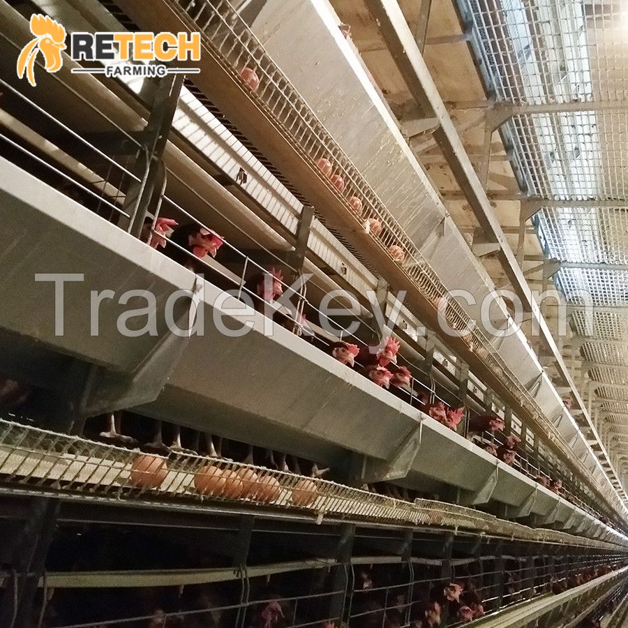 H Type chicken layer cages with automatic feeding system