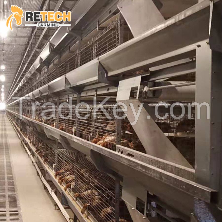 Retech Design Automatic Battery Cages System For Pullet
