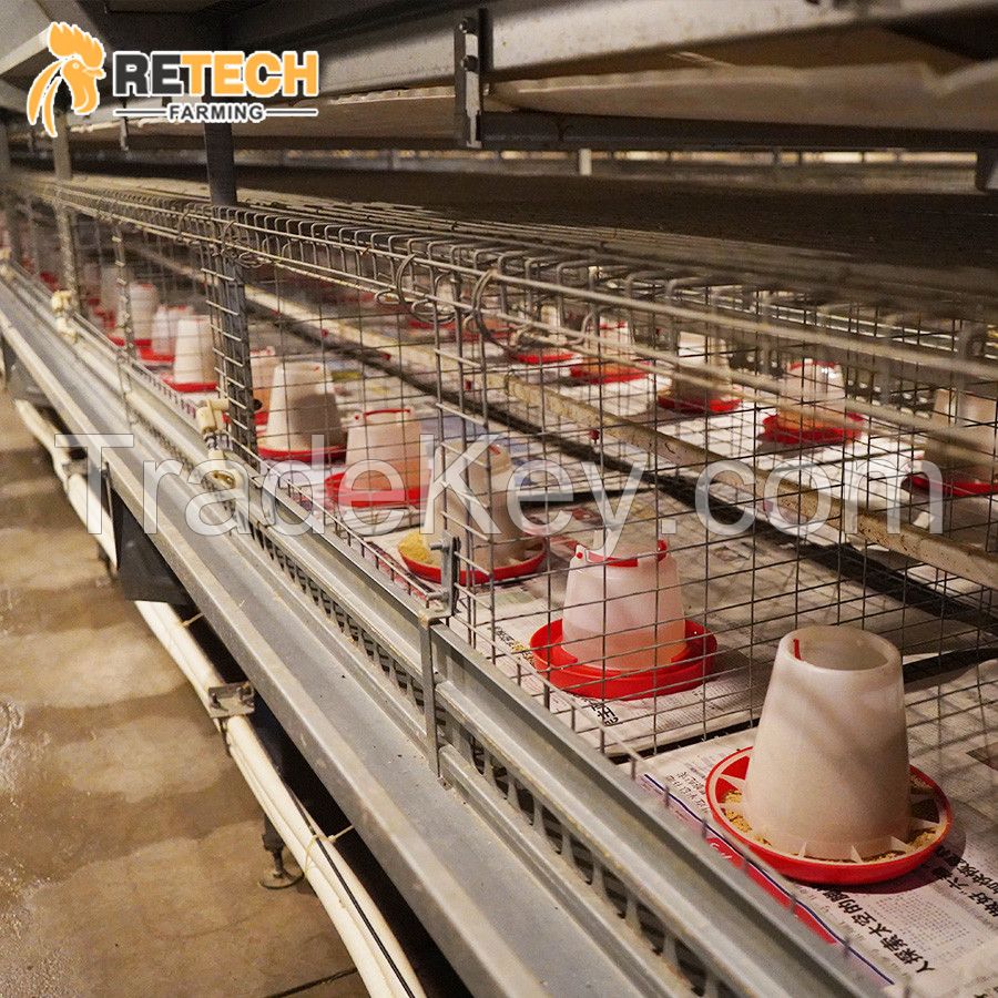 RETECH Factory Direct Supply H Type Full Automatic rearing equipment