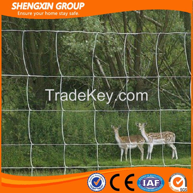 China galvanized sheep/farm/field/deer fence