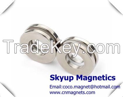Arc /Segment magnets used in Motor and pumps 
