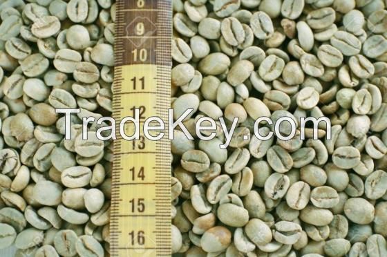 High Quality Arabica coffee Beans/ Robusta Coffee Beans