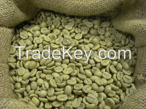 High Quality Arabica coffee Beans/ Robusta Coffee Beans