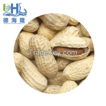 various type of peanuts from china