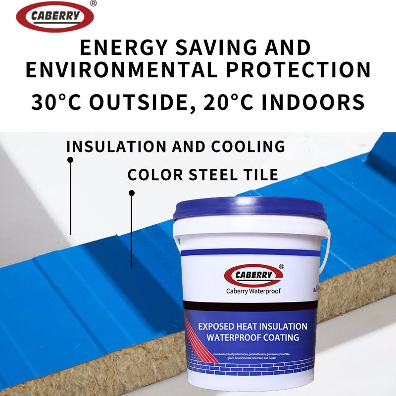 Wholesale CABERRY factory metal roof warehouse roof outdoor waterproof coating waterproof paint