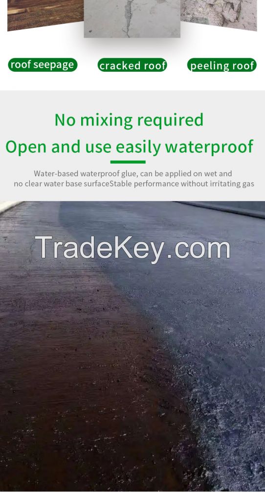 Caberry Factory Other Waterproofing Materials Polyurethane Waterproof Paint Coating