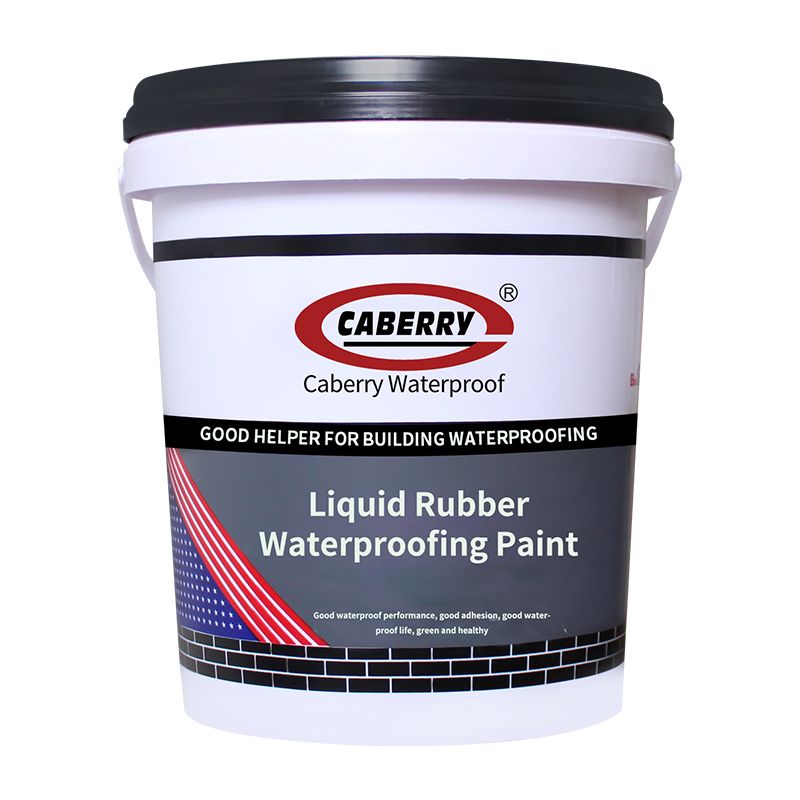 Wholesale CABERRY nano coating waterproof liquid rubber waterproofing