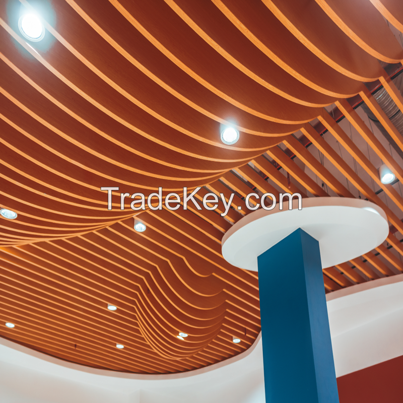 Aluminum Combined Decoration Baffle Ceiling for Construction Project 