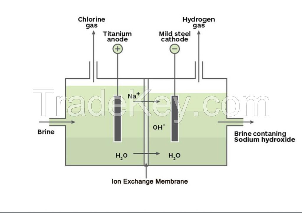 Chlor-Alkali ion exchange membrane