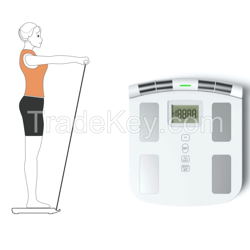 Body Composition Analyzer / Body Scale/ Body Weight/ Tanita/ Inbody