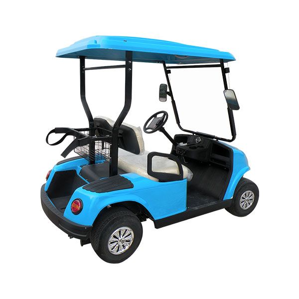 Mini electric golf cart LQG022