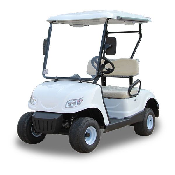 Mini electric golf cart LQG022
