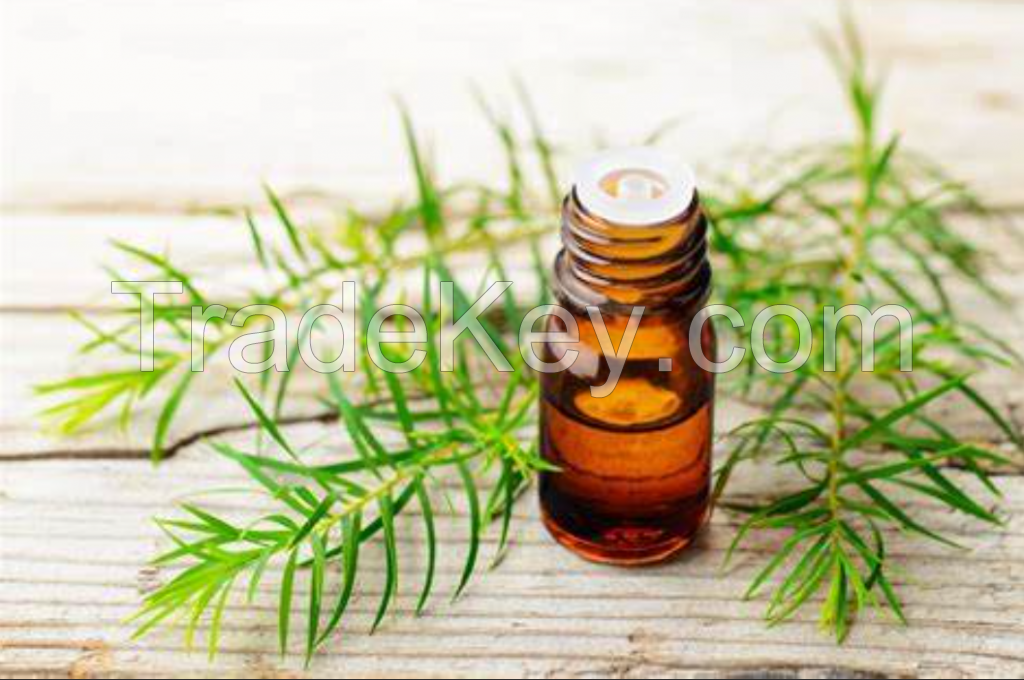 Tea tree oil, Oil of melaleuca alternifolia, terpinen-4-ol type