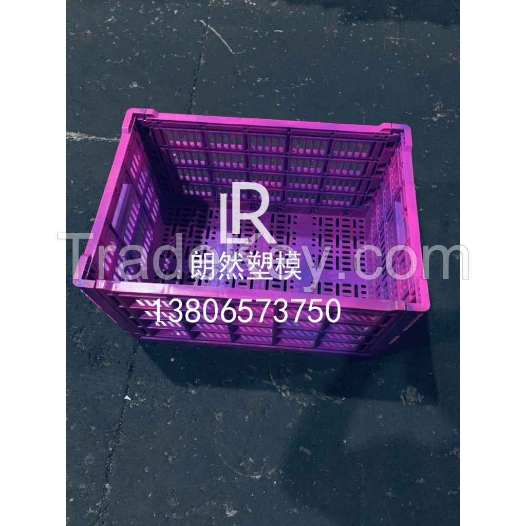 LongRange Mould hot selling Plastic folding crate mould 8613806573750